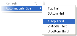 Standard window placement options